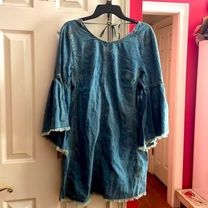 Free people NWT denim dress.  Never been worn.  Size 10.  Zips up the back.